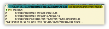 git checkout